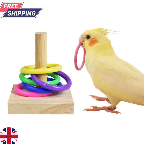 Wooden bird parrot - bird, platform