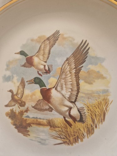 Liverpool road pottery - x,