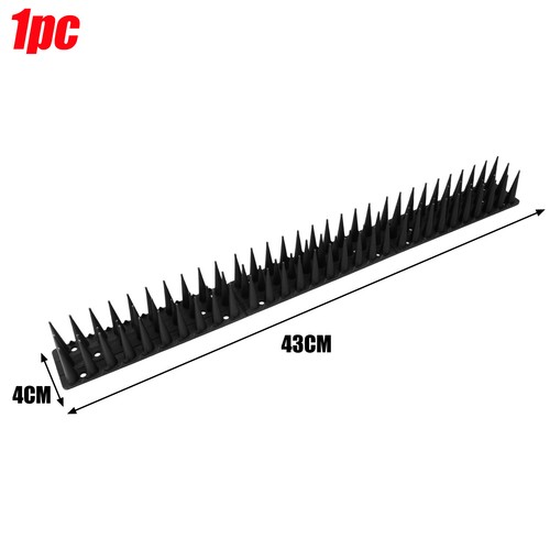 Bird fence wall spikes - fence, cat