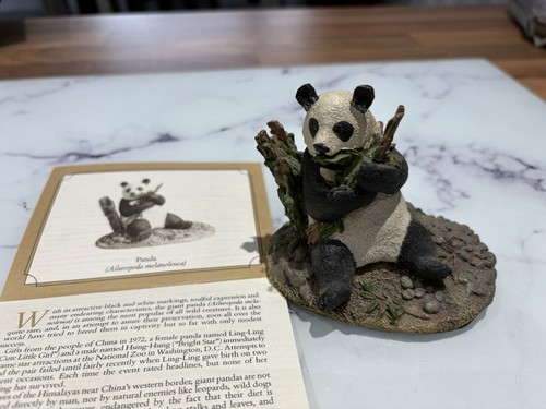 Panda from the wildlife - from,