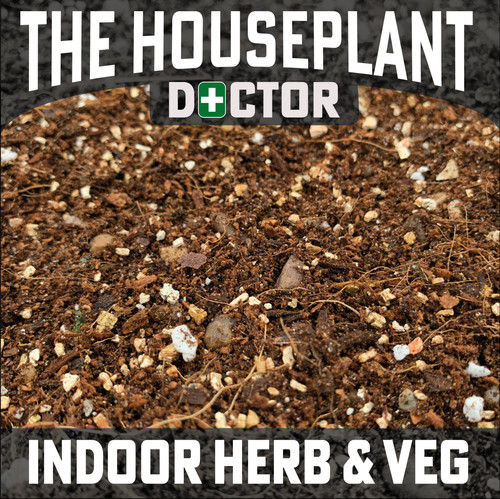 Indoor herb chilli pepper - indoor, herb,
