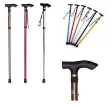 Walking Stick Easy Fold