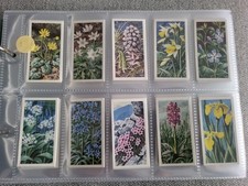 BROOKE BOND WILD FLOWERS