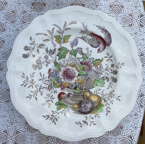 Hampshire dinner plate - dinner,