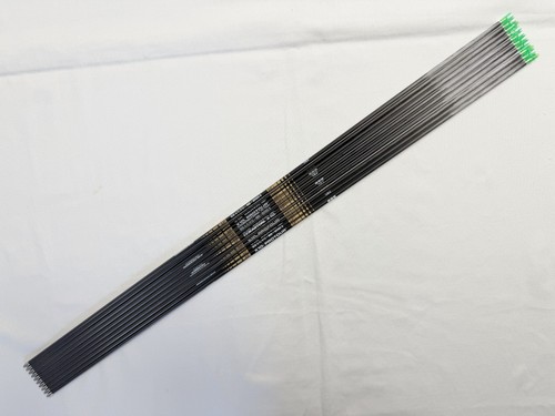 Easton x10 protour arrows - x,