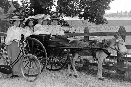 Hqq donkey cart - hqq-89, &