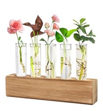 Set Plants Terrarium Plant Terrarium Indoor Water Planter Hydroponic Glass...