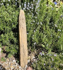 55cm DRIFTWOOD LOG BRANCH