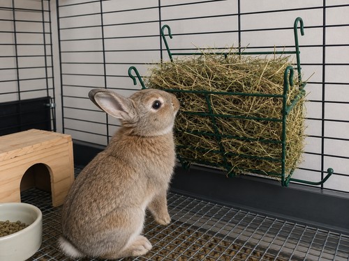 New hay manger feeder - new,