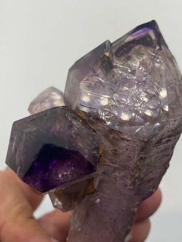 Smoky amethyst cluster with - amethyst,