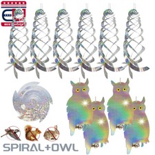 Hanging Spiral Scare