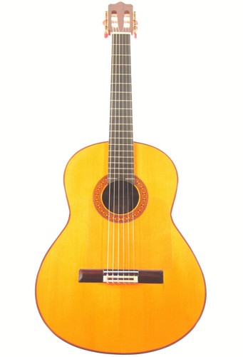 Pedro miguel 1992 - 1992, spanish