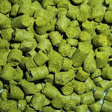 Hops including Citra Mosaic Simcoe Nelson Sauvin