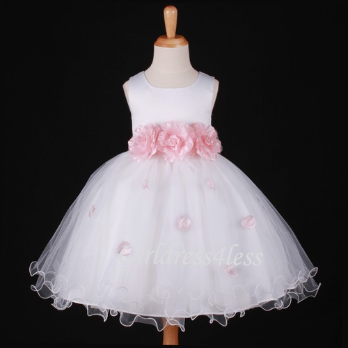 New white color petals ruffled - color,
