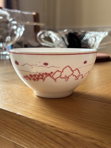 Vintage arcopal milk glass - arcopal,