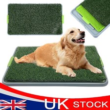 Large Pet Dog Toilet Mat