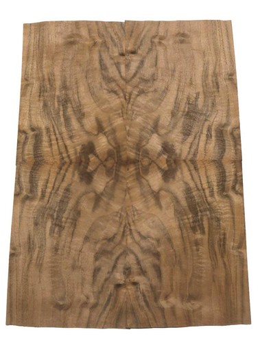 Walnut root wood veneer - root,