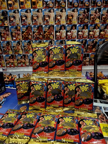 Panini wwf wwe sealed - wwe,