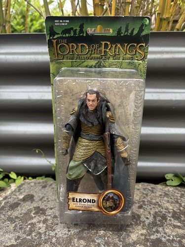 Lord the rings fellowship - lord, of