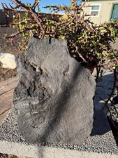 One X/L Black Lava Rock –