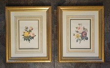 PAIR of Framed Vintage