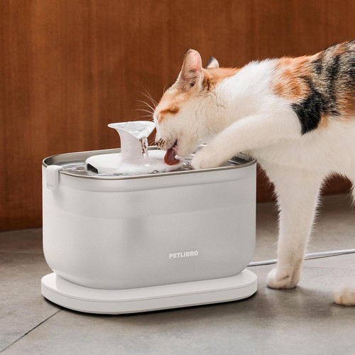 Petlibro dockstream cat - petlibro, water