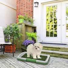 Pet Dog Toilet Mat Indoor