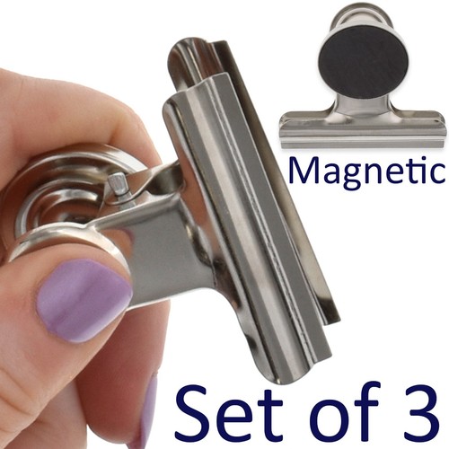 Strong magnetic bulldog - x,
