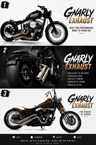 Harley davidson softail - harley,