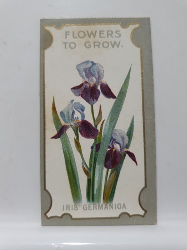 Lea cigarette card - lea's,