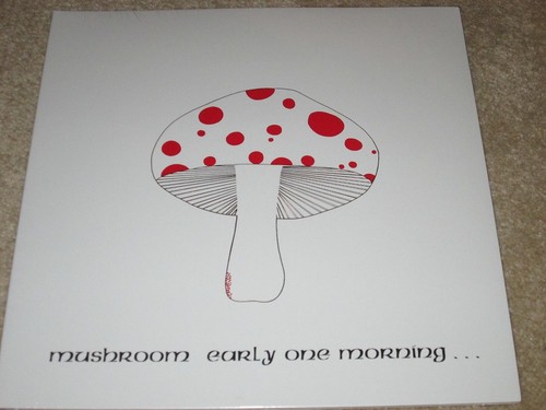 Mushroom early one morning - -,