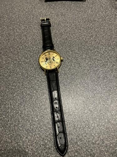 Eiger mens watch - eiger,