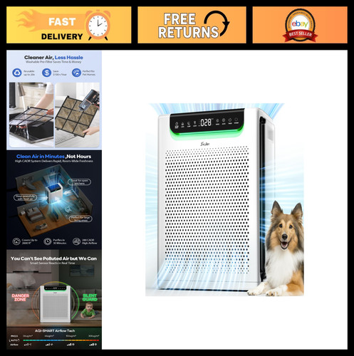 Large room air purifier for - large,