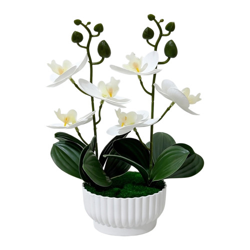 Imitation orchid plant with - orchid, 6