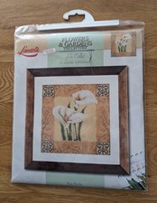 'LILY CALLA IN CLASSIC