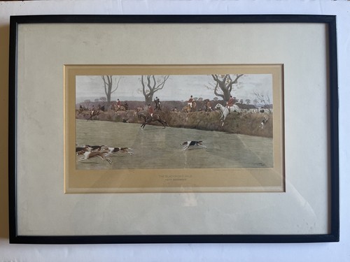 Vintage cecil aldin - vintage,