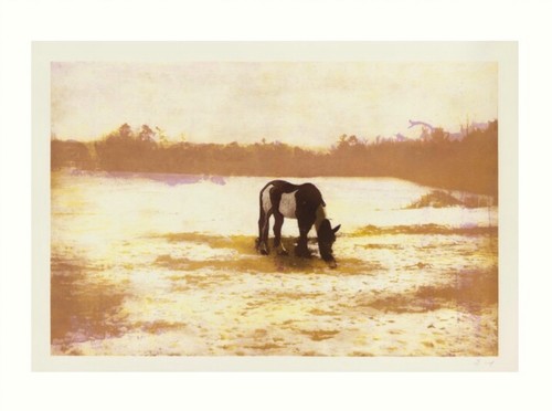 Peter doig pinto from 100 - doig,,