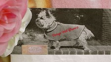 Vintage Dog Coat Knitting