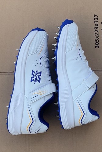 Vector cricket shoes - cricket,