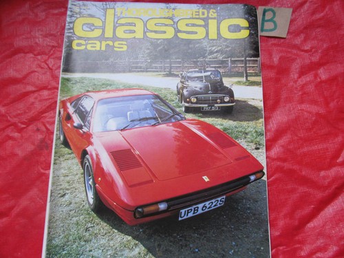 Thoroughbred classic - thoroughbred,