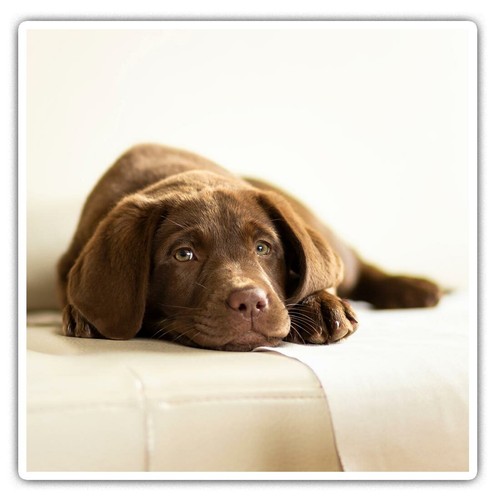 Square stickers cm - square, 7.5