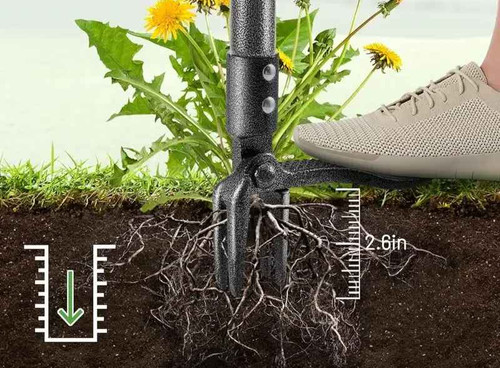 Prong weed puller garden - 4-prong,