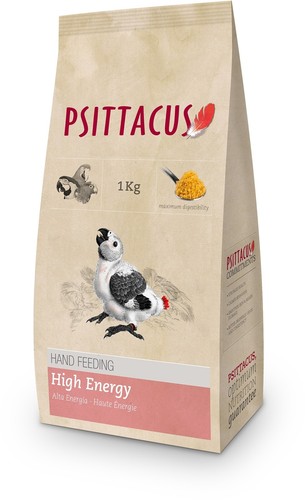 Psittacus hand rearing - hand,