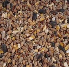 Wild Bird Seed With Aniseed