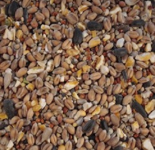 Wild bird seed with - seed, aniseed