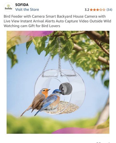 Bird feeder with - bird,