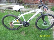 teenagers btwin rockrider  mountain bike PICK UP ONLY
