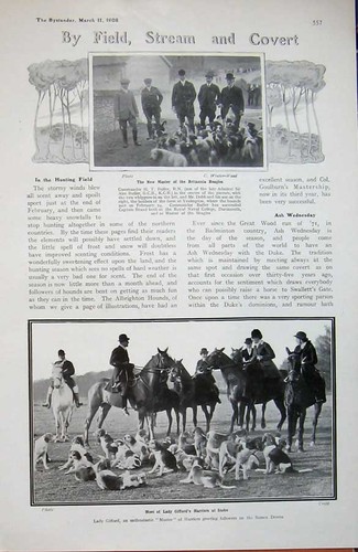 Old antique print 1908 hunting - old,
