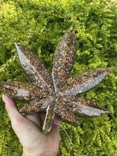 Orgonite Leaf 1.4kg