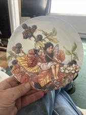 Wedgwood The World Of The